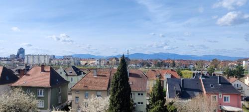Riedisheim Apartment | Agréable et Spacieux Appartement lumineux T4 ALSACE
