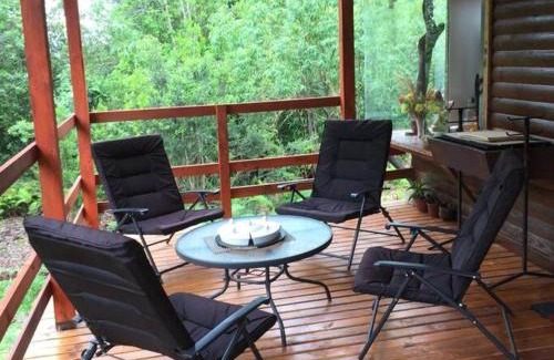 Villarrica House | Agradable Cabaña inserta en bosque nativo