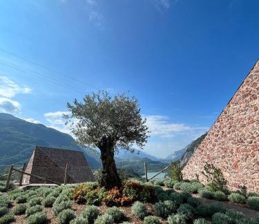 Vezzano Bed & Breakfast | Agritur Lawanda