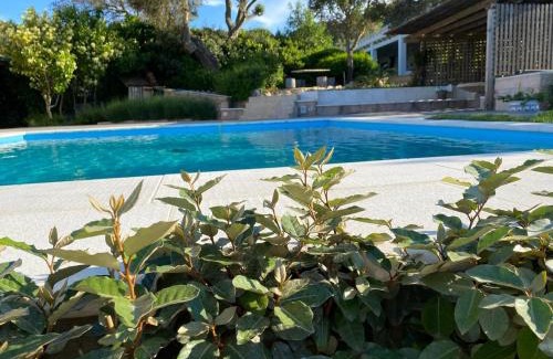 Sa Castangia Bed & Breakfast | Agriturismo La Multaiola