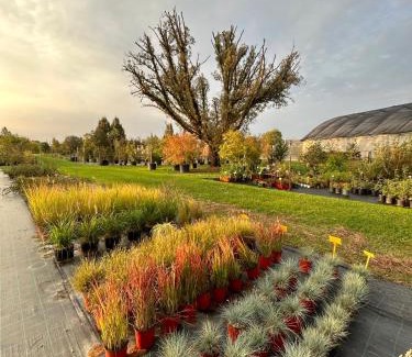 Funes Bed & Breakfast | Agriturismo Il Ceraseto da Tomasi