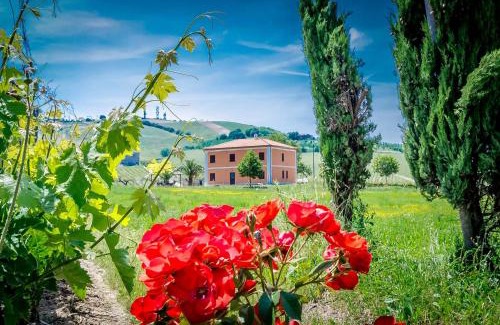 Pineto House | Agriturismo Agrimare Barba