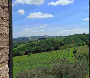 Pergola House | Agriturismo Alla Vecchia Quercia