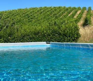Cossignano Apartment | Agriturismo Angeli Sognanti