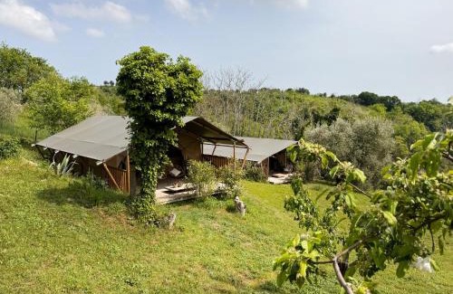 Cossignano Other | Agriturismo Angeli Sognanti