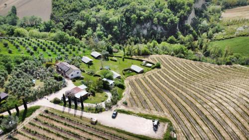 Cossignano Other | Agriturismo Angeli Sognanti