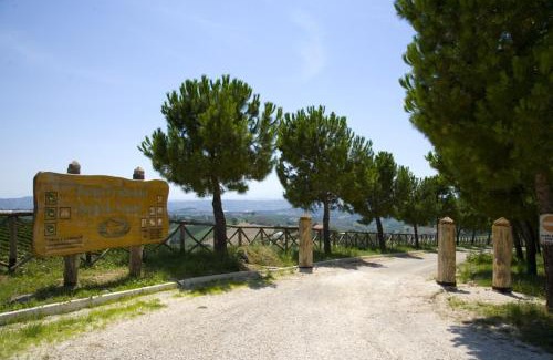 Acquaviva Picena House | Agriturismo Aqua Viva