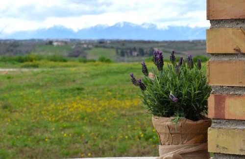 Vasto House | Agriturismo Arkadia