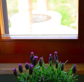 Vasto House | Agriturismo Arkadia