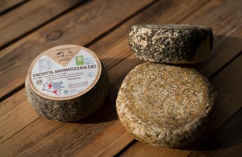 Cormons House | Agriturismo Borg da Ocjs