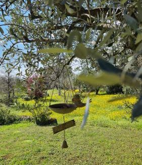 Colognola ai Colli House | Agriturismo CarpinoNero