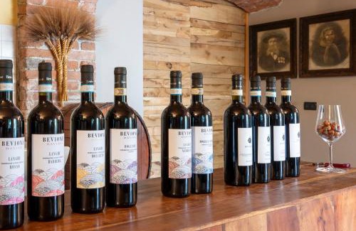 Farigliano House | Agriturismo Cantine Bevione - Family Apartments