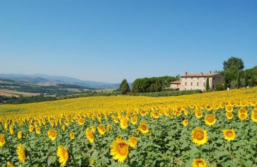 Loreto House | Agriturismo Casale Dei Frontini
