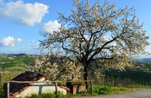 Diano d'Alba House | Agriturismo Cascina Rabalot