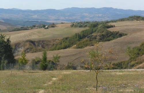 Il Poggio House | Agriturismo Collomici