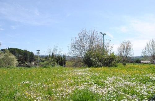 Oltrarno Apartment | Agriturismo Fattoria di Malavolta
