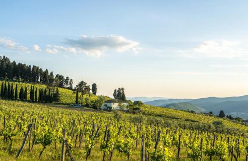 Pontassieve House | Agriturismo Fattoria Lavacchio