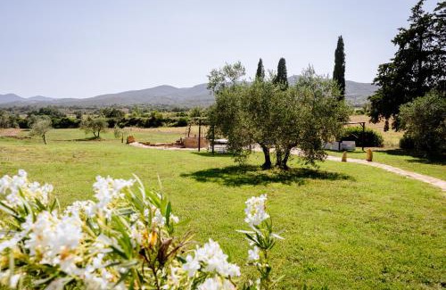 Gavorrano House | Agriturismo Giù al Pozzo