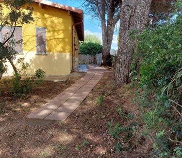 Giba House | Agriturismo I 13 Pini di Putzu Anna Maria