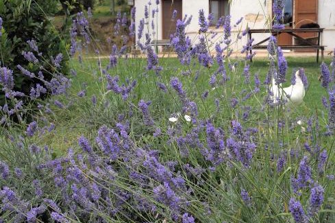 Recanati House | Agriturismo Il Gelso Antico