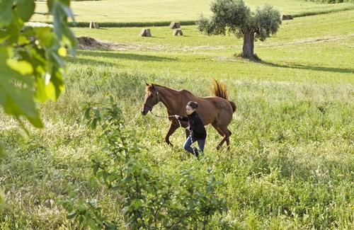 Recanati House | Agriturismo Il Gelso Antico