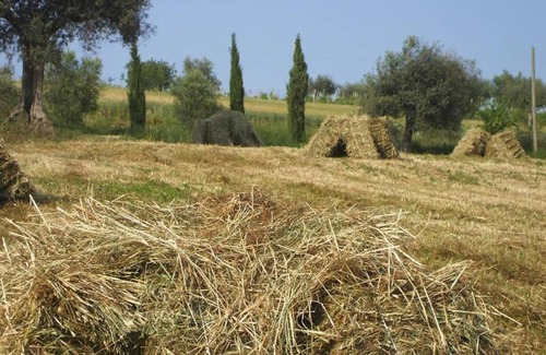 Recanati House | Agriturismo Il Gelso Antico