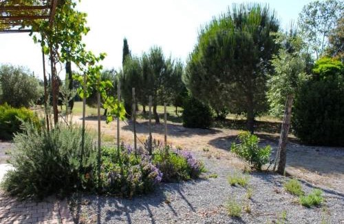 Gavorrano House | Agriturismo Il Riccio
