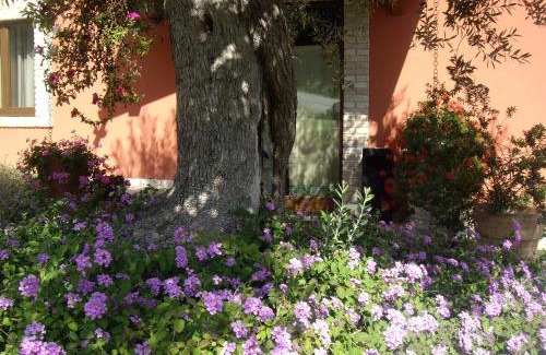 Cologna Spiaggia House | Agriturismo Il Borgo Degli Ulivi