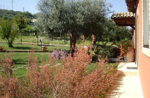 Cologna Spiaggia House | Agriturismo Il Borgo Degli Ulivi