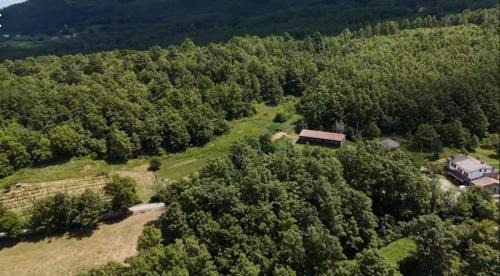 Bagno di Romagna House | Agriturismo Il Respiro del Bosco