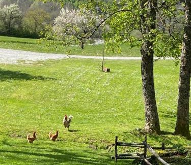 Bruscoli House | Agriturismo Il Passeggere