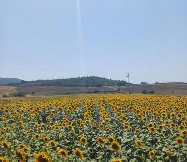 Manciano Apartment | Agriturismo Il Poggio Rosso di Maremma