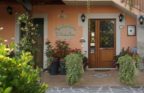 San Brizio House | Agriturismo L'Ulivo in Fiore