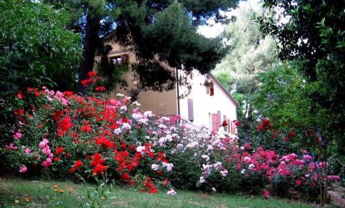 Monte San Vito House | Agriturismo La Casa della Lavanda - Il Casale