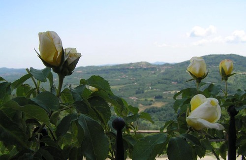Bossolasco House | Agriturismo La Cascina