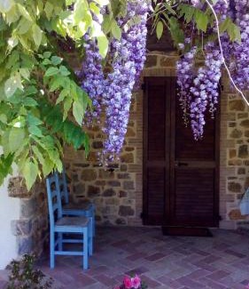 Poggio Murella House | Agriturismo La Chiocciola