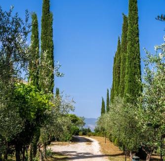 Bevagna House | Agriturismo La Fonte