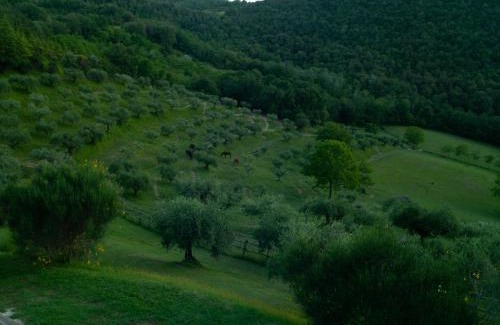 Montelaguardia House | Agriturismo La Fonte