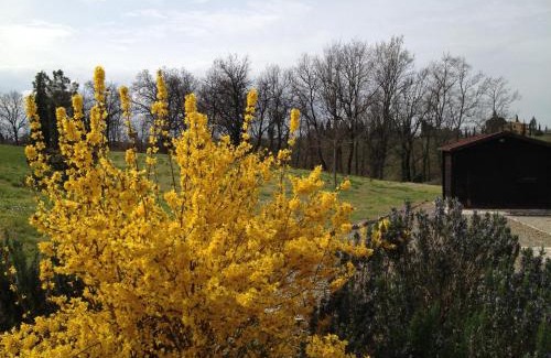 Castelfiorentino House | Agriturismo Le Docce