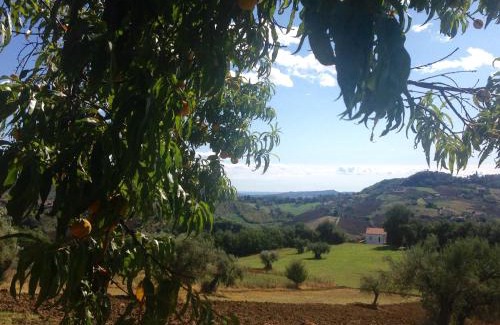 Caprafico House | Agriturismo Le Macine-Poggio Cono