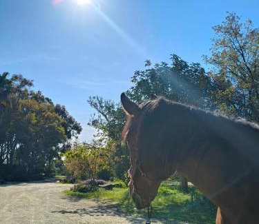 Bisceglie House | Agriturismo Le Vedute