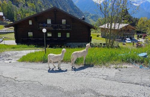 Brusson House | Agriturismo Les Hiboux