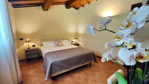 Grosseto Apartment | Agriturismo Lo Scalandrino