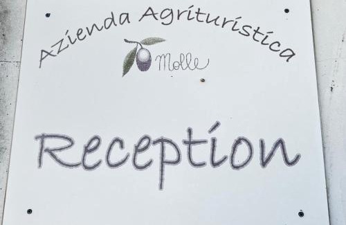 Carpignano Salentino House | Agriturismo Molle