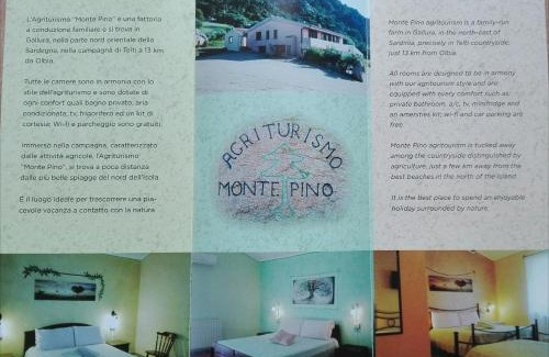 Telti House | Agriturismo Monte Pino