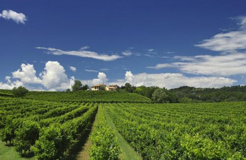 Vittorio Veneto House | Agriturismo Moro Barel