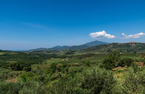 Ceraso House | Agriturismo Musto