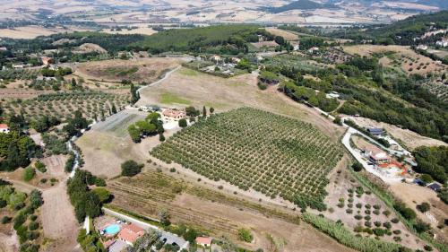 Rosignano Marittimo Apartment | Agriturismo Podere La Maestà