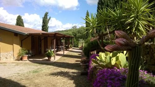 Gavorrano House | Agriturismo Podere Mulinaccio