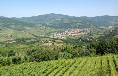Twist House | Agriturismo Prato Barone